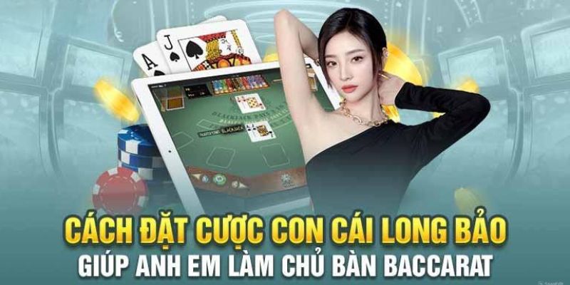 Địa điểm đặt cược long bảo uy tín