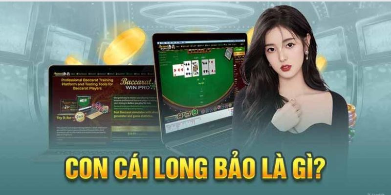 Thông tin chi tiết về long bảo là gì?